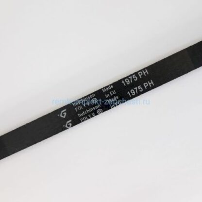 BLH779UN Ремень сушильной машины 1975 H7 черный 